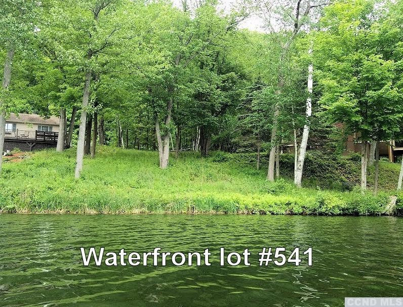 0 Lakeview Road Copake, NY 12516 - Photo 1 of 7 a sign of golf club on a wall under a tree
