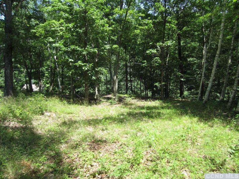 0 Lakeview Road Copake, NY 12516 - Photo 5 of 7 a big yard with lots of green space and deers