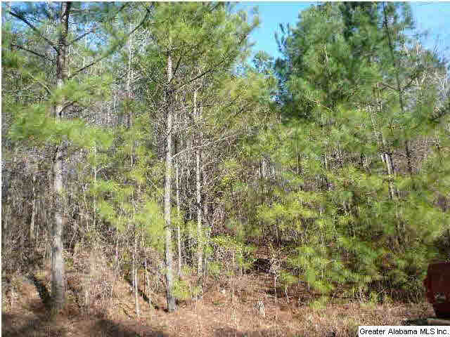 253 County Road, Unit 37 Clanton, AL 35046 - Photo 1 of 1