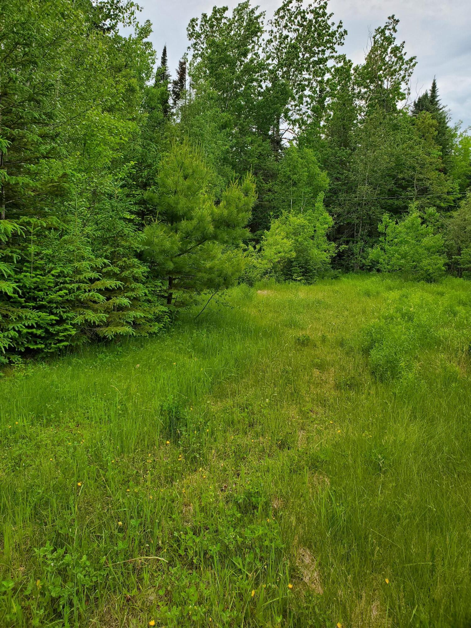 2291 Bancroft Road Wytopitlock, ME 04497 - Photo 3 of 14 20210614_150918
