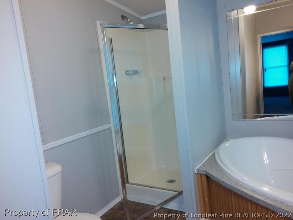 358 Capel Mill Road Candor, NC 27229 - Photo 7 of 11 a bathroom with a sink and toilet