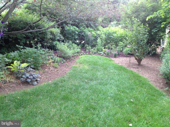 143 Church Road Jenkintown, PA 19046 - Photo 11 of 12 Back Yard