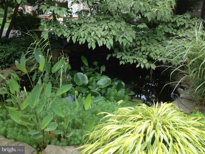 143 Church Road Jenkintown, PA 19046 - Photo 7 of 12 Garden