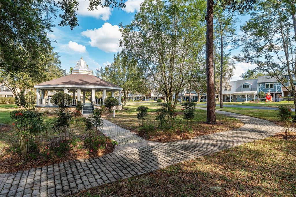 9951 Southwest 88th Court Road, Unit C Ocala, FL 34481 - Photo 46 of 46 a view of a yard with plants and large trees
