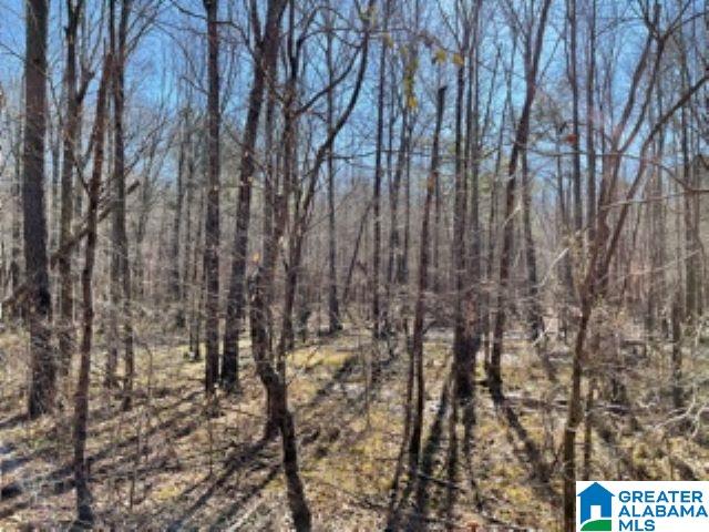 820 County Road, Unit 193 Roanoke, AL 36274 - Photo 5 of 15