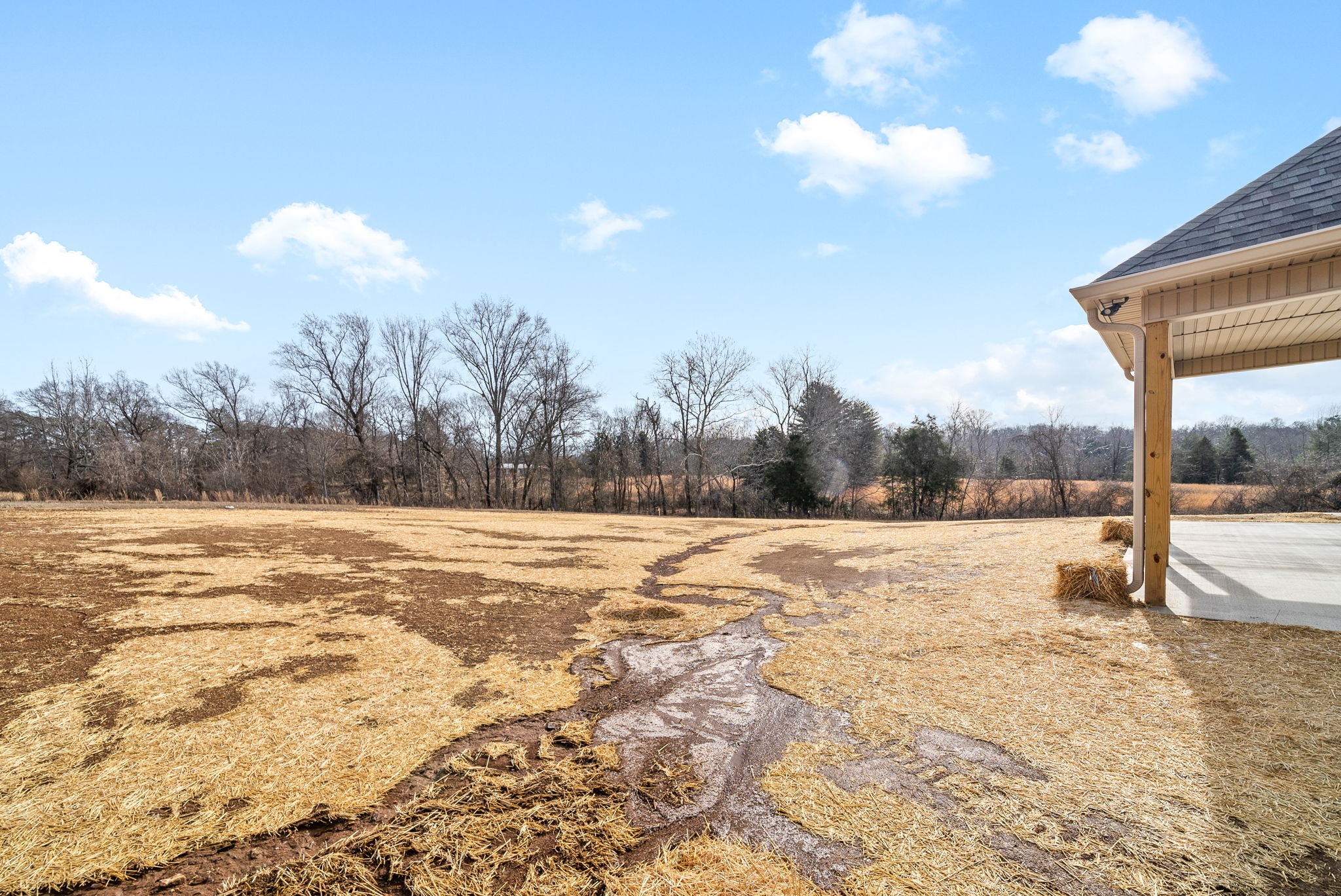 1059 Gratton Road Clarksville, TN 37043 - Photo 45 of 45 a view of a yard