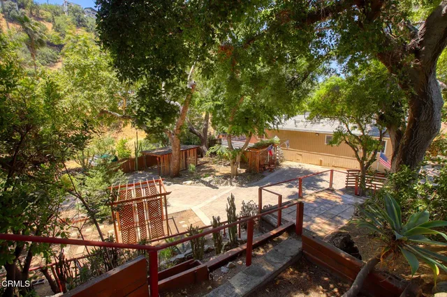 a view of a yard with plants and trees