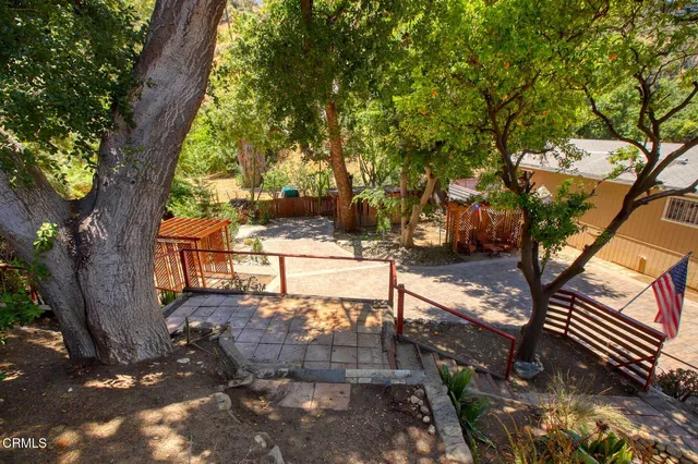 a street view covered with tall trees