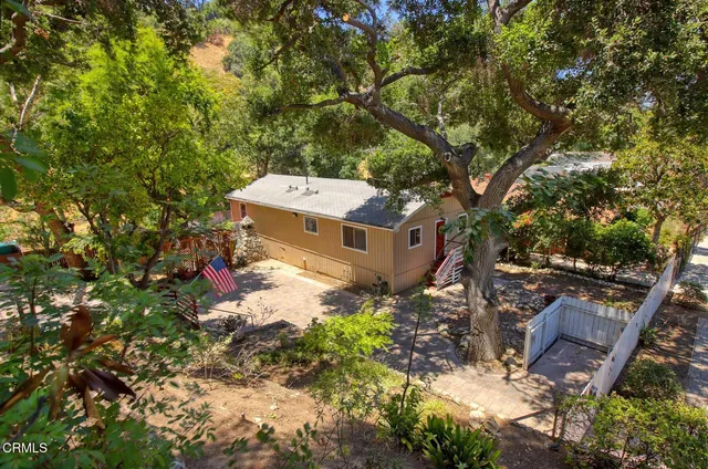 a picture of trees with a tree