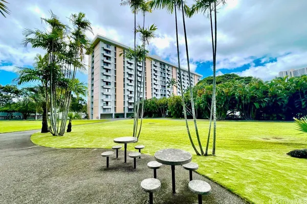 a view of a garden with plants