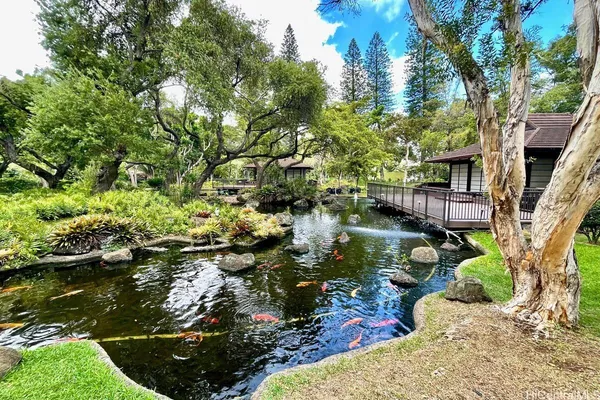 a view of backyard with plants and lake view