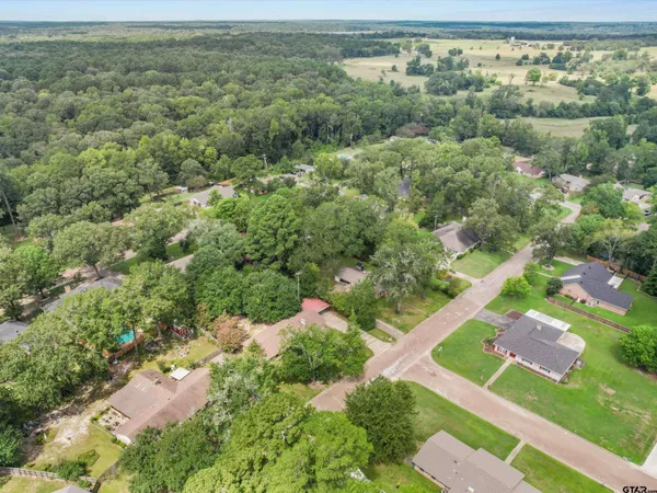 an aerial view of residential houses with outdoor space and trees