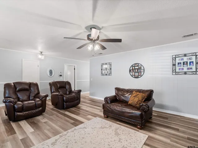 a living room with furniture ceiling fan and a rug
