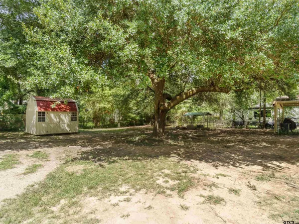 a view of a yard with a tree