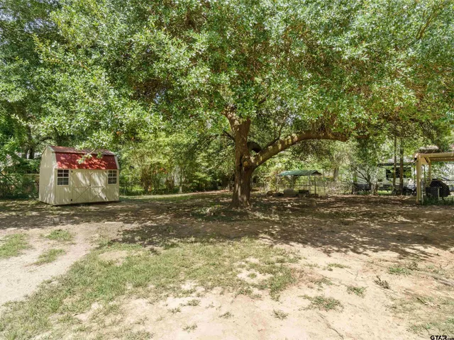 a view of a yard with a tree