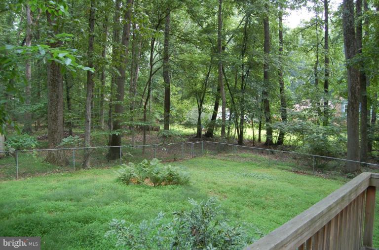 4428 Oaktree Road Rockville, MD 20853 - Photo 4 of 7 Exterior (Rear)