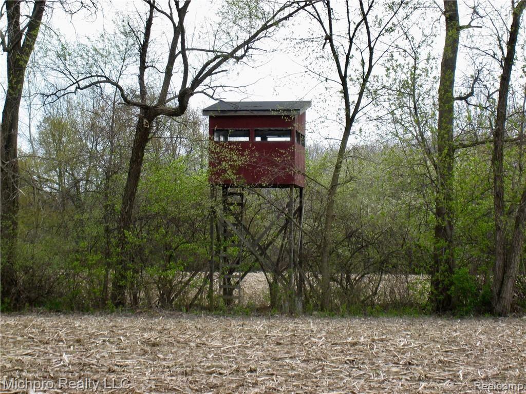 Parcel 2 South Lapeer Road Metamora, MI 48455 - Photo 11 of 17