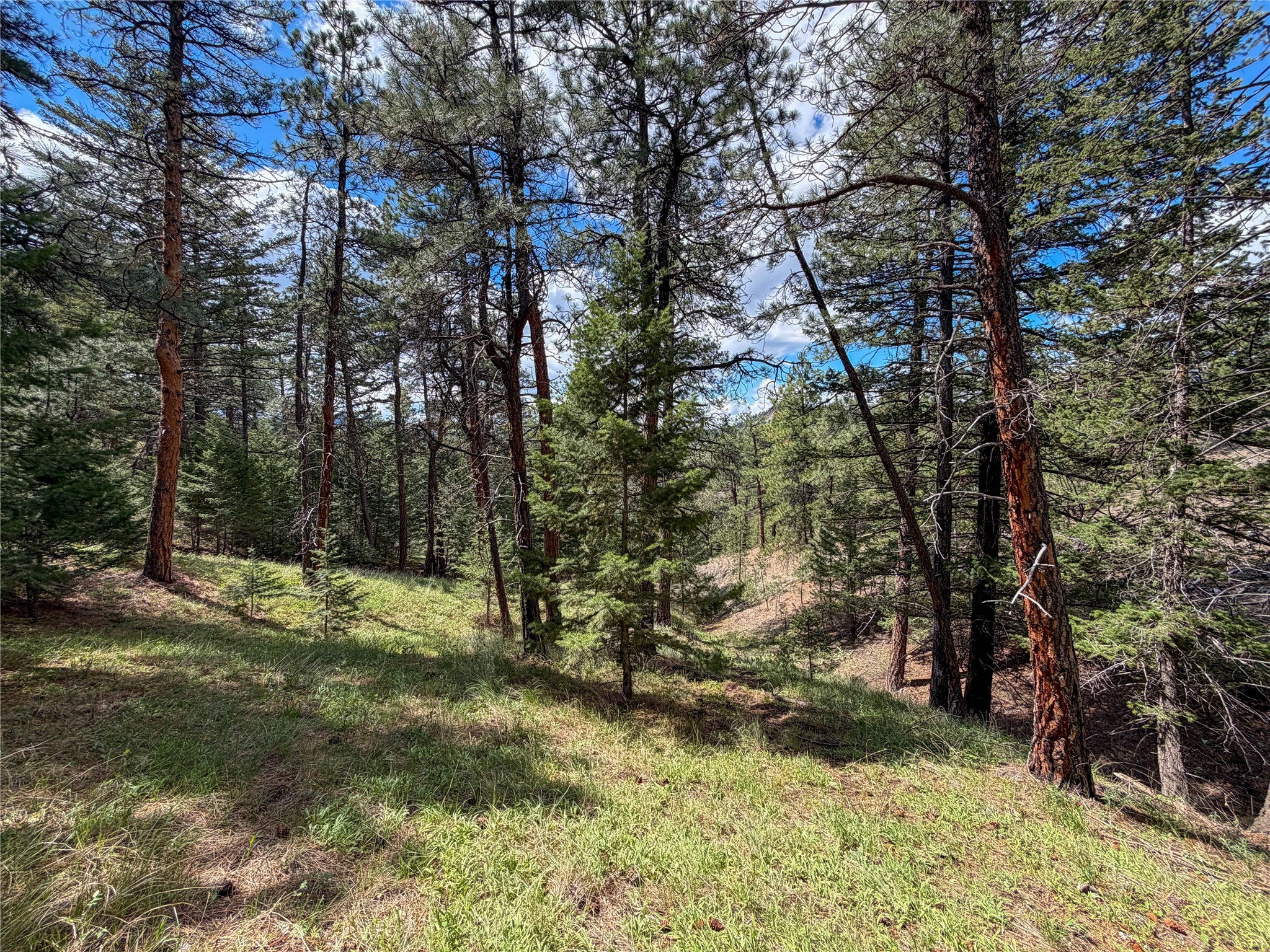 Tbd Dearborn River Road Cascade, MT 59421 - Photo 19 of 23 Gallery Image 19