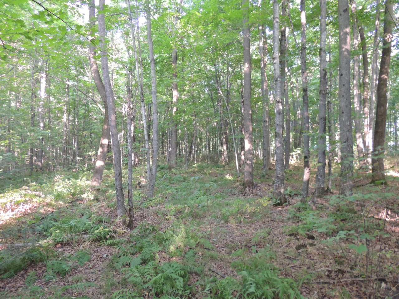 W14770 Cth J Gleason, WI 54435 - Photo 24 of 26 Gallery Image 24