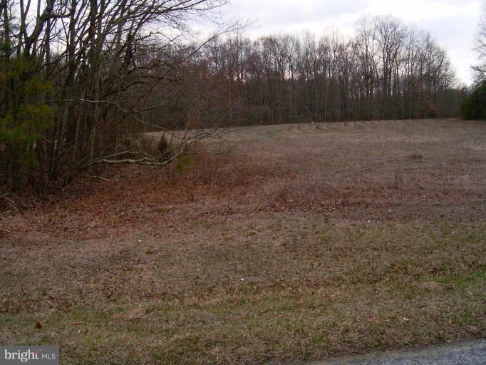 2638 Peters Corner Road Marydel, MD 21649 - Photo 4 of 7 a view of backyard with green space