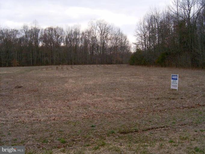 2638 Peters Corner Road Marydel, MD 21649 - Photo 6 of 7 a view of outdoor space and yard