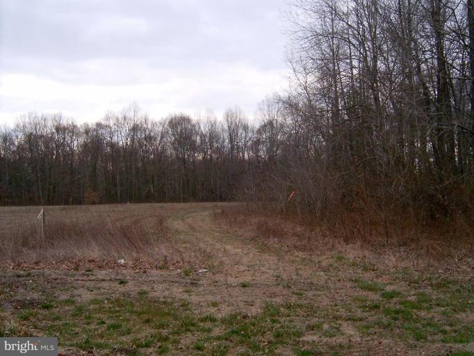 2638 Peters Corner Road Marydel, MD 21649 - Photo 7 of 7 a view of a backyard