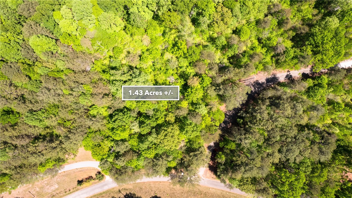 26 Wilbanks Road Seneca, SC 29678 - Photo 47 of 47 An aerial view showcases a vibrant, tree-filled landscape with ample space for future development.