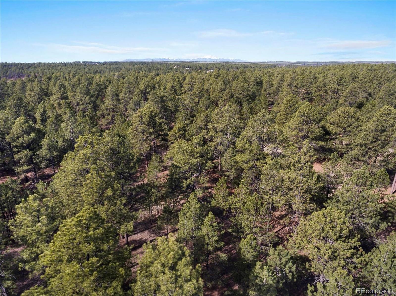 0 Meridian Road Colorado Springs, CO 80908 - Photo 8 of 19 an aerial view of forest