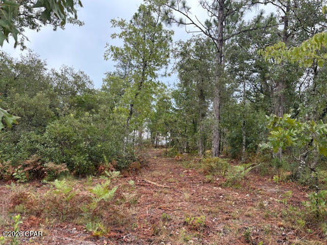4539 Northwest White Road Altha, FL 32421 - Photo 38 of 82