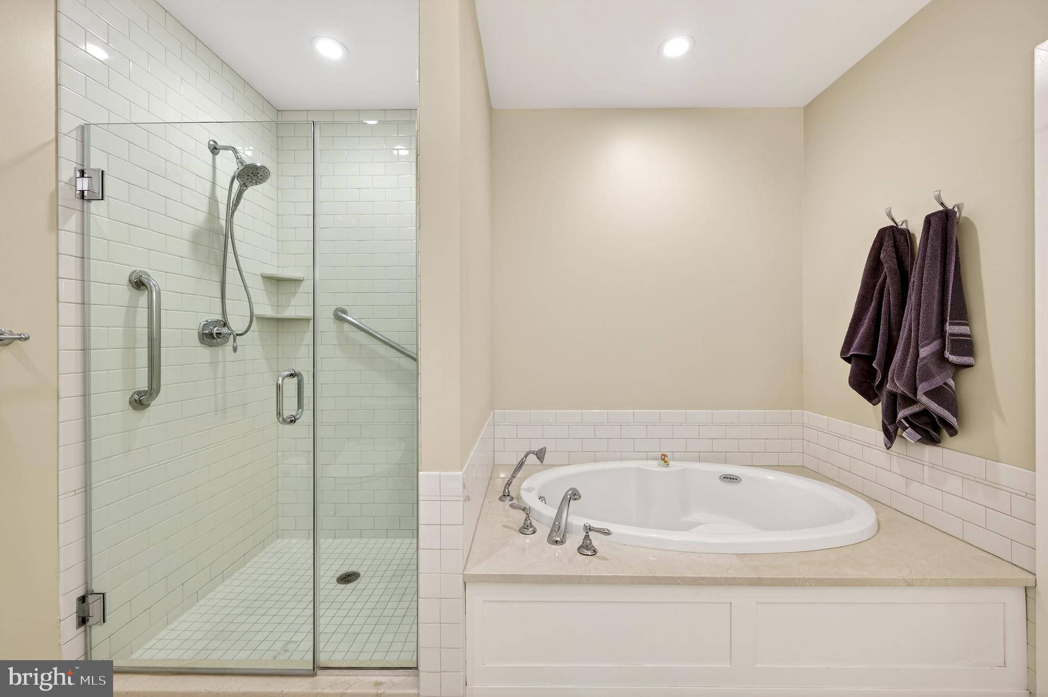 233 Iron Works Way Wayne, PA 19087 - Photo 25 of 33 Chromotherapy Air Tub