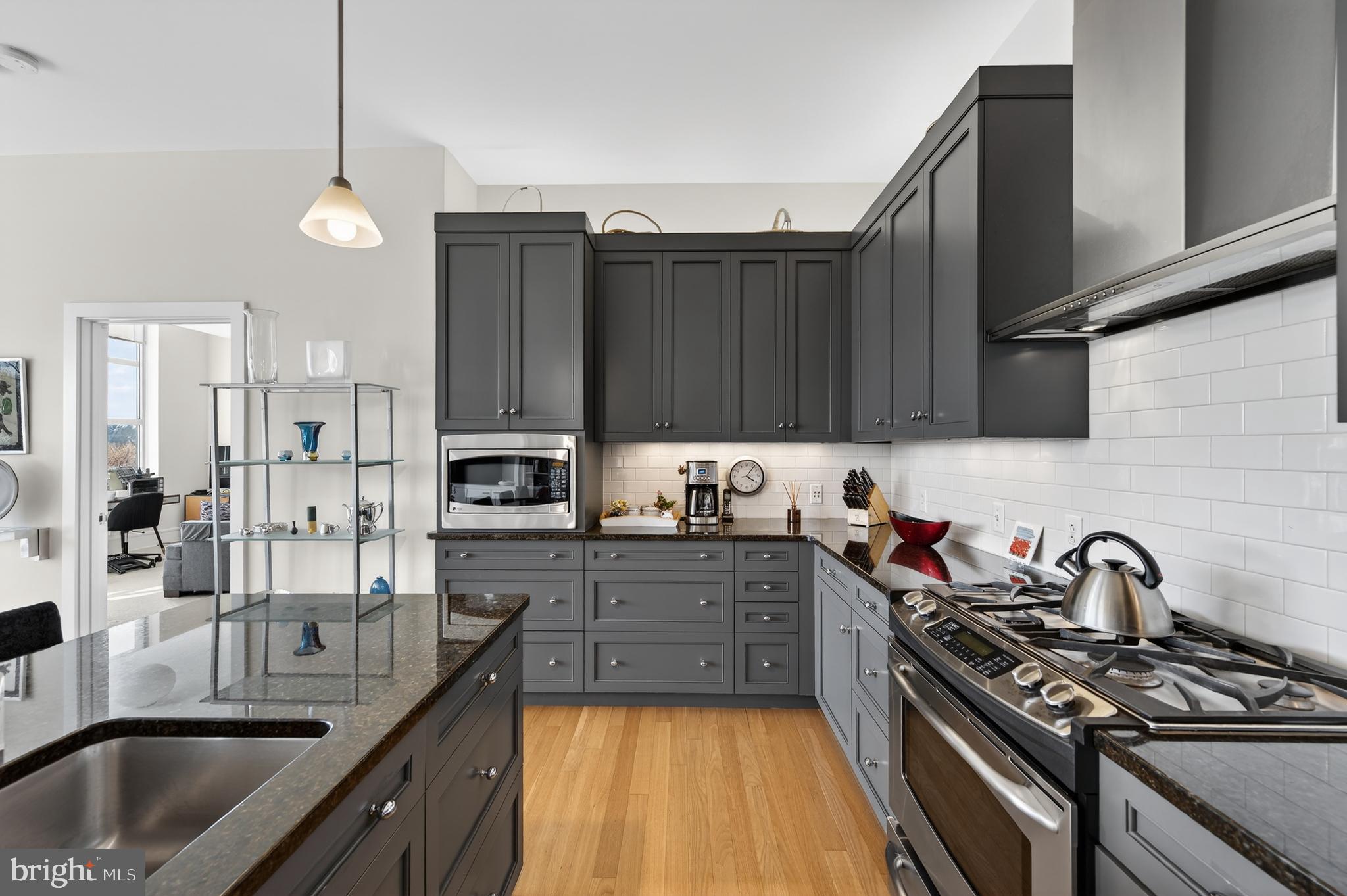 233 Iron Works Way Wayne, PA 19087 - Photo 7 of 33 Kitchen