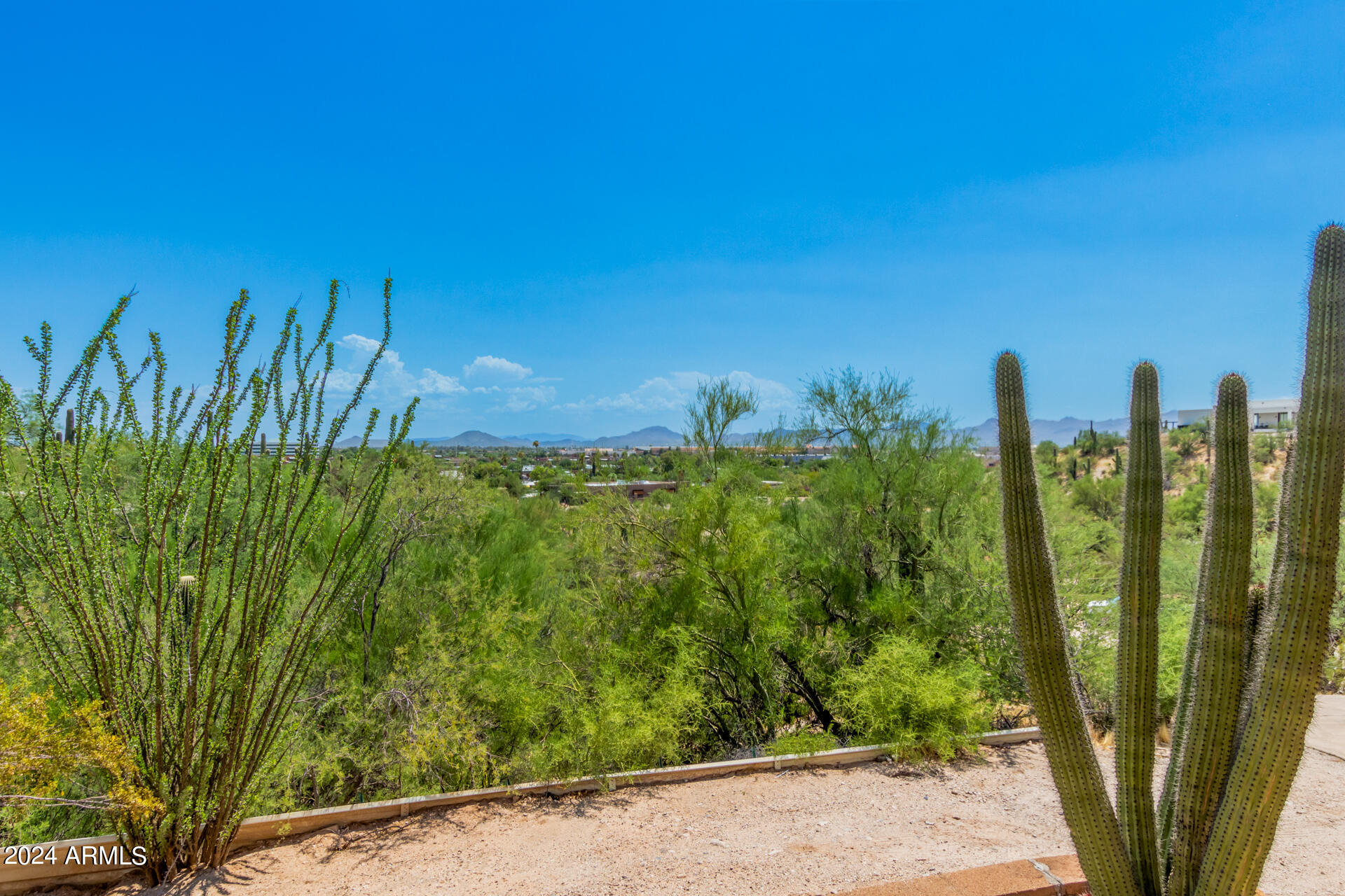 4980 North Hillcrest Drive Tucson, AZ 85704 - Photo 5 of 33 a view of a garden