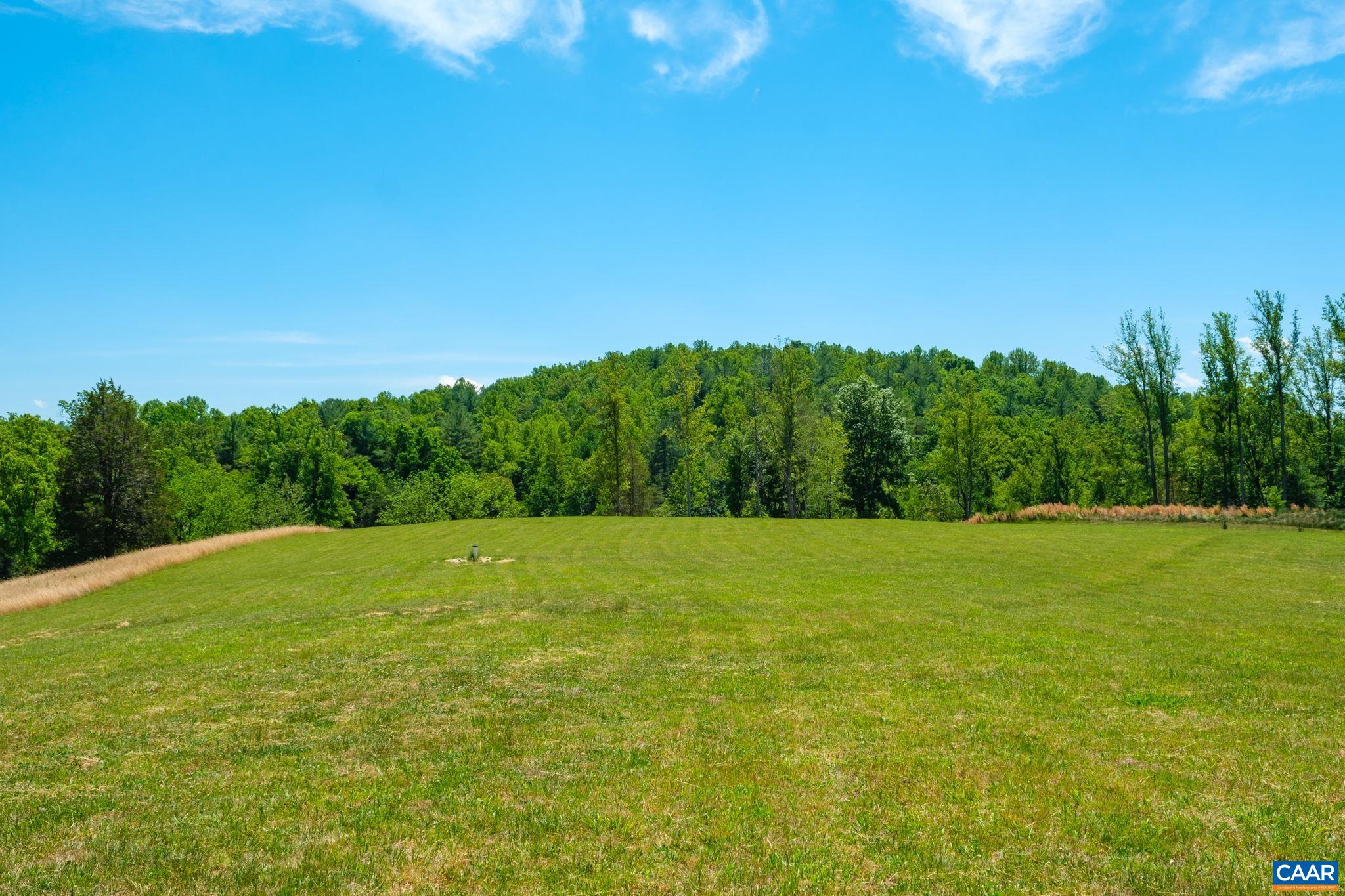 0 Boonesville Road Free Union, VA 22940 - Photo 14 of 18