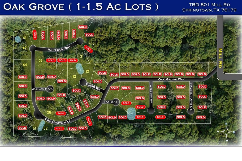 704 Slabs Way Springtown, TX 76082 - Photo 9 of 9