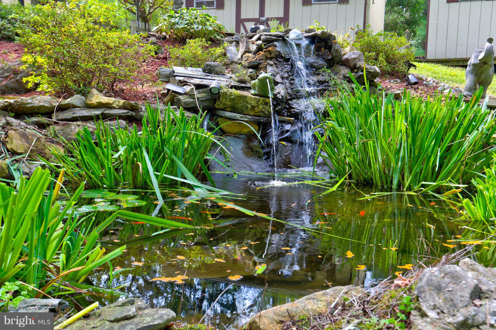 240 School House Road Lancaster, PA 17603 - Photo 35 of 38 Fish Pond in the Rear of the Home