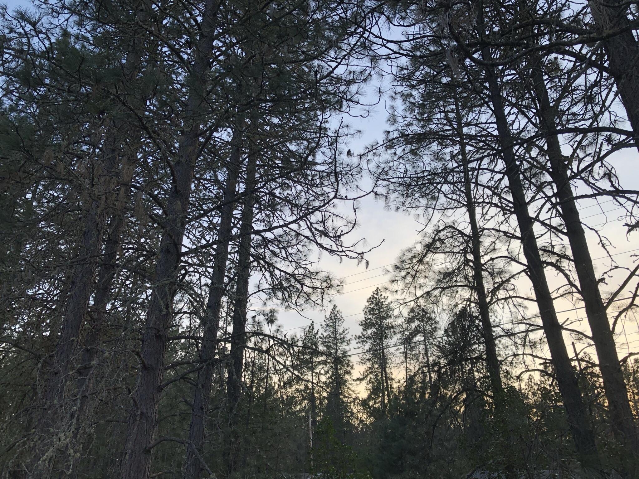 4201 New Hope Road Grants Pass, OR 97527 - Photo 21 of 23 sunset as seen across New Hope Road