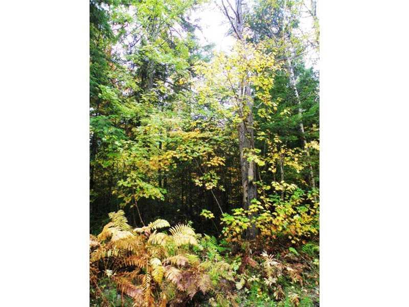 Lot 9 Lower Drew Road Kingman, ME 04451 - Photo 7 of 8 Land/Lot.