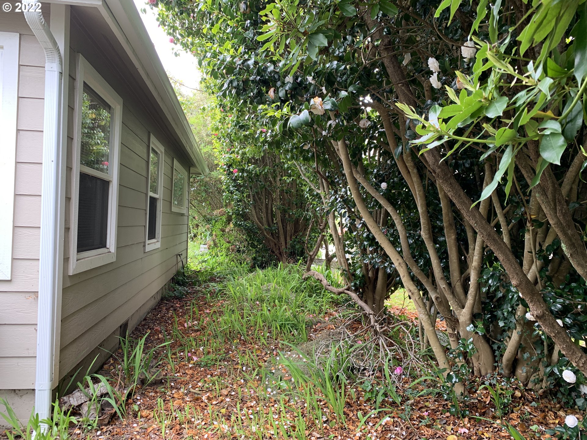 428 Azalea Park Road Brookings, OR 97415 - Photo 26 of 28 Gallery Image 26