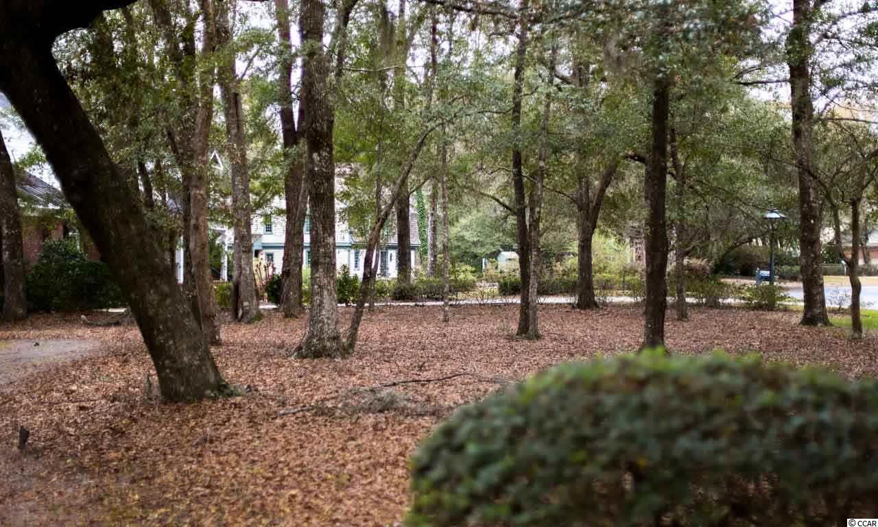 4502 Planters Row Lane Murrells Inlet, SC 29576 - Photo 29 of 39 Gallery Image 29