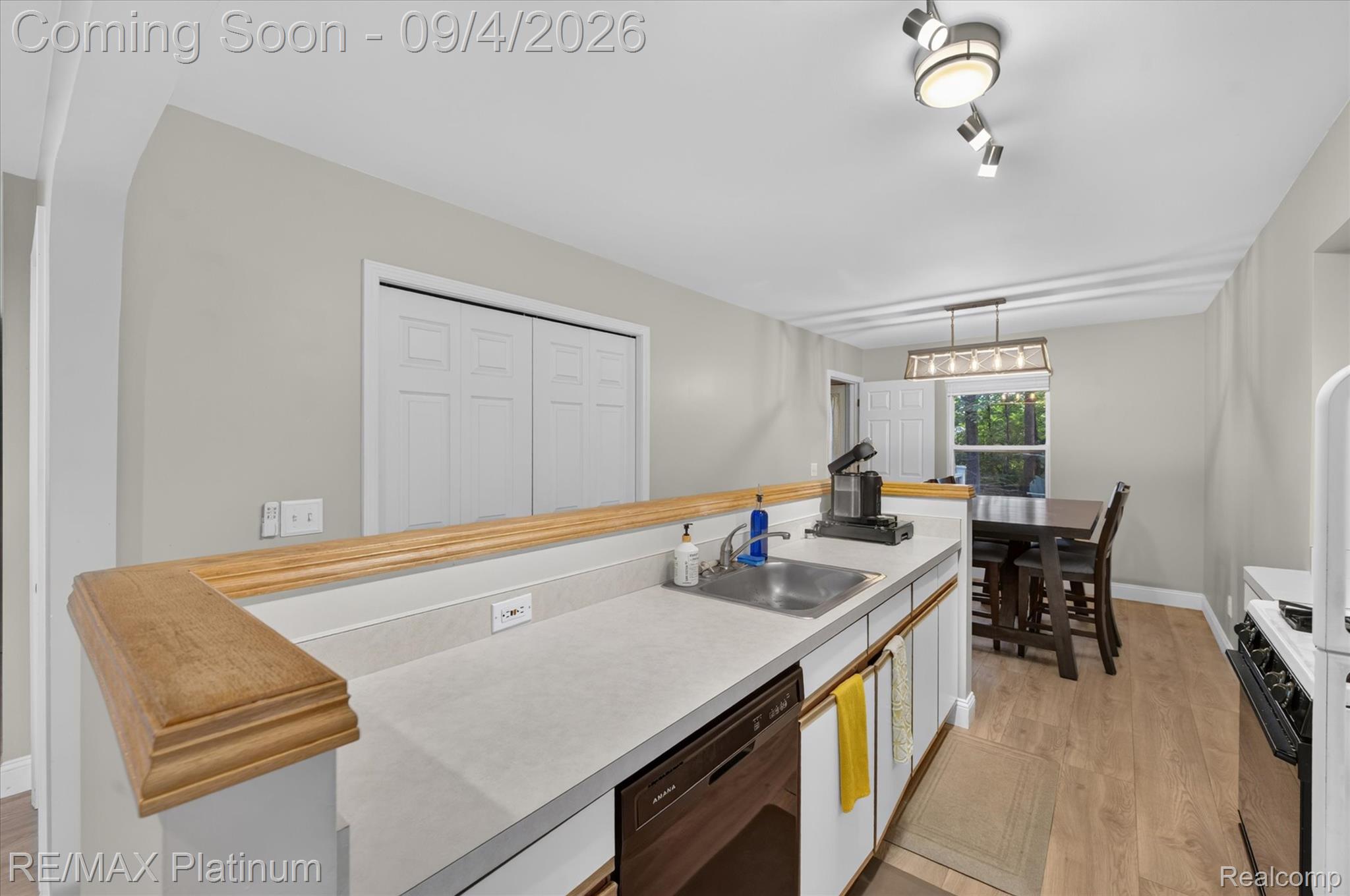 355 Springwell Lane Howell, MI 48843 - Photo 9 of 28 Kitchen / Dining Area
