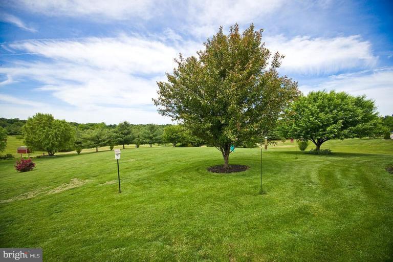 31 Karst Valley Road Front Royal, VA 22630 - Photo 6 of 30 View from Unit