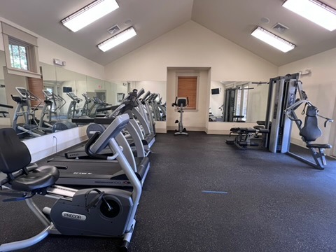 Vaulted ceilings and wall-to-wall mirrors elevate this professional-grade home fitness center.
