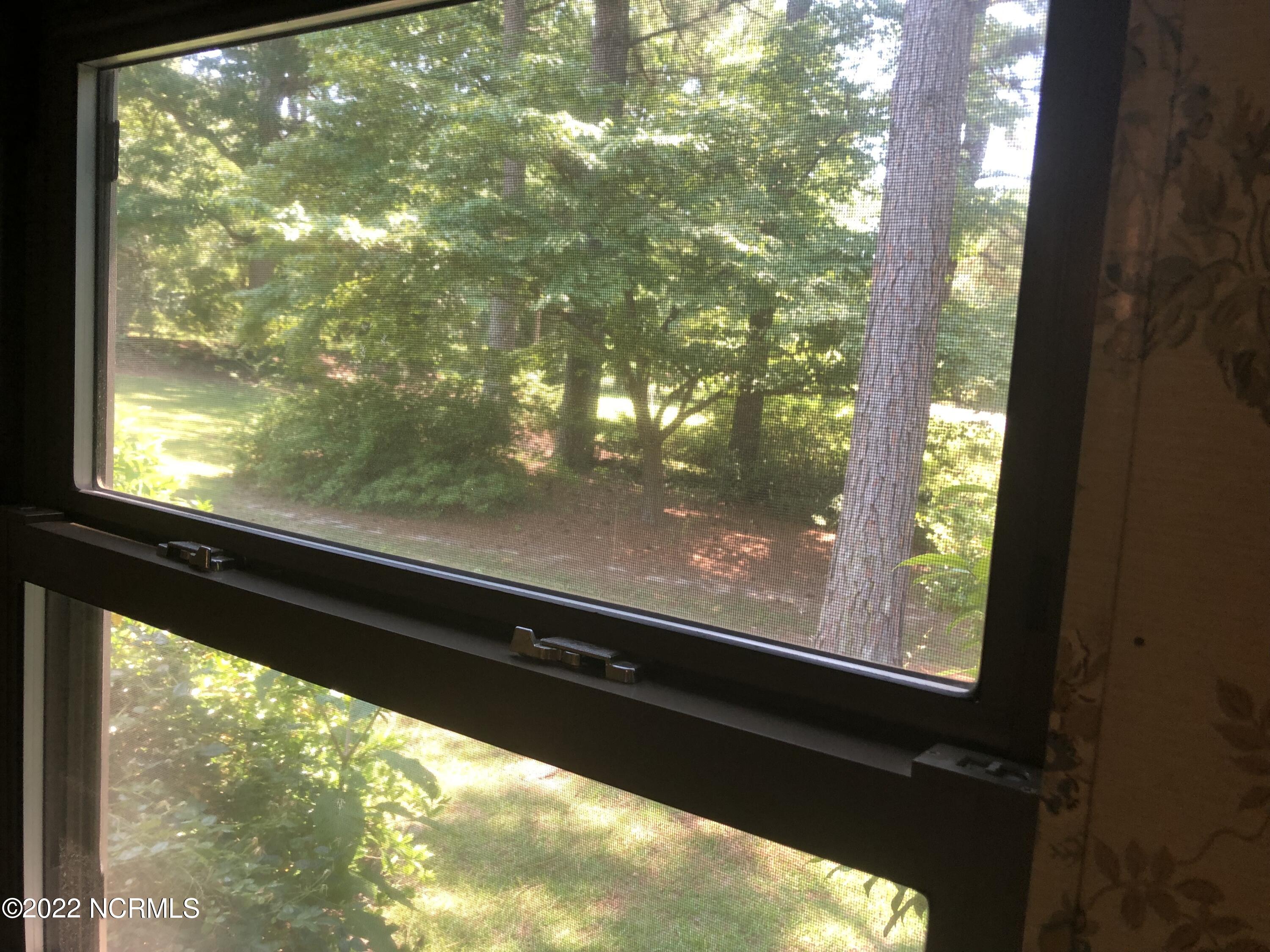 228 Leach Road Candor, NC 27229 - Photo 20 of 52 IMG_7260 (1)