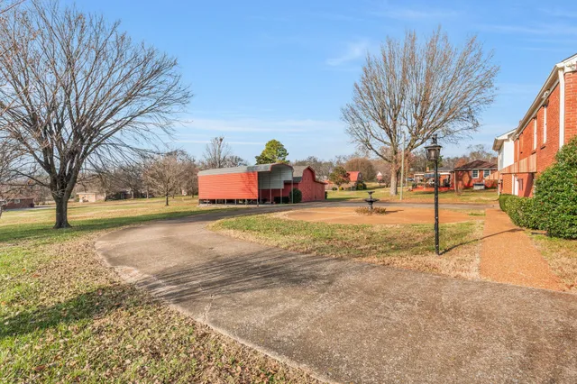 a view of road with large trees