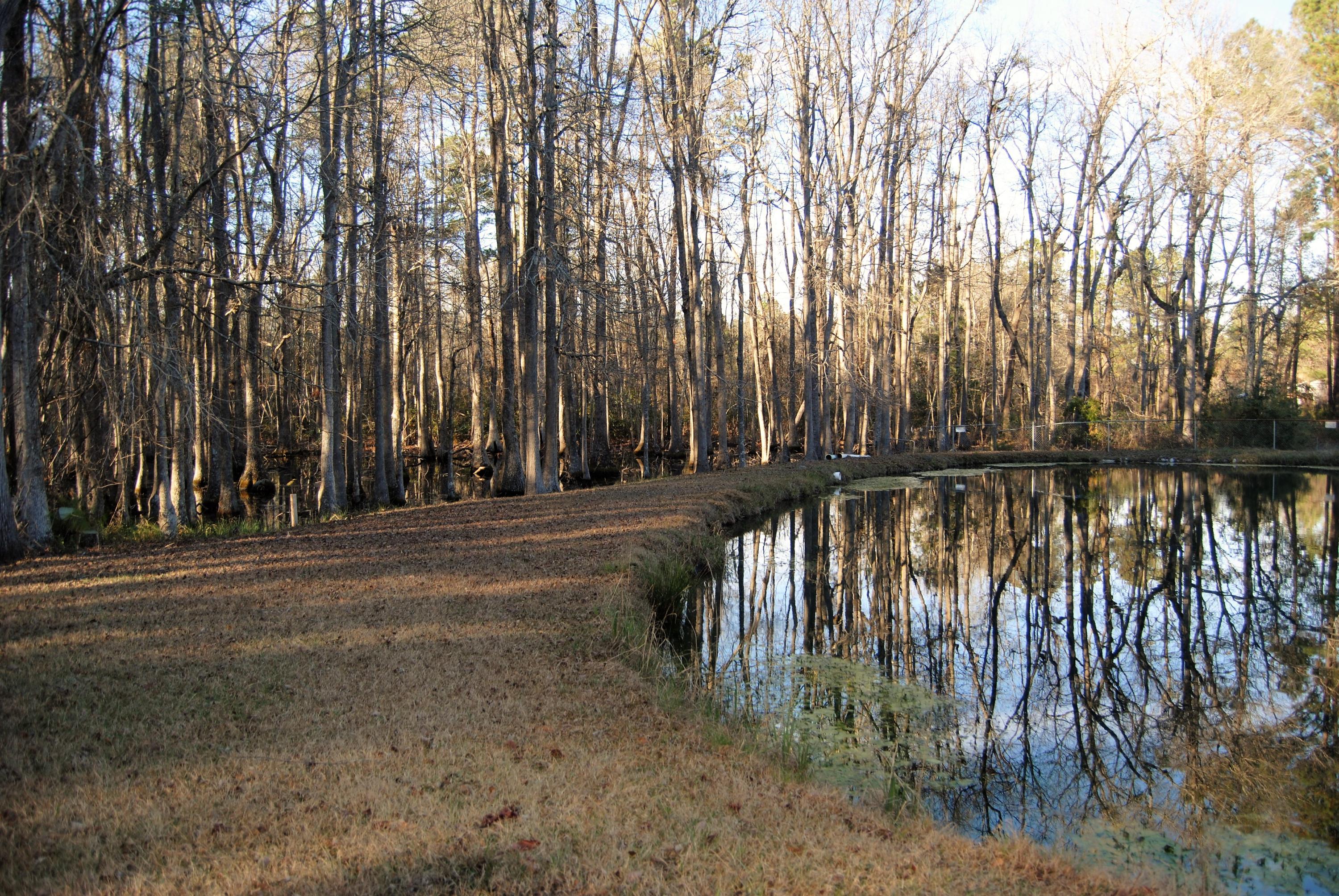 887 Groomstown Road Cross, SC 29436 - Photo 1 of 4 MLS