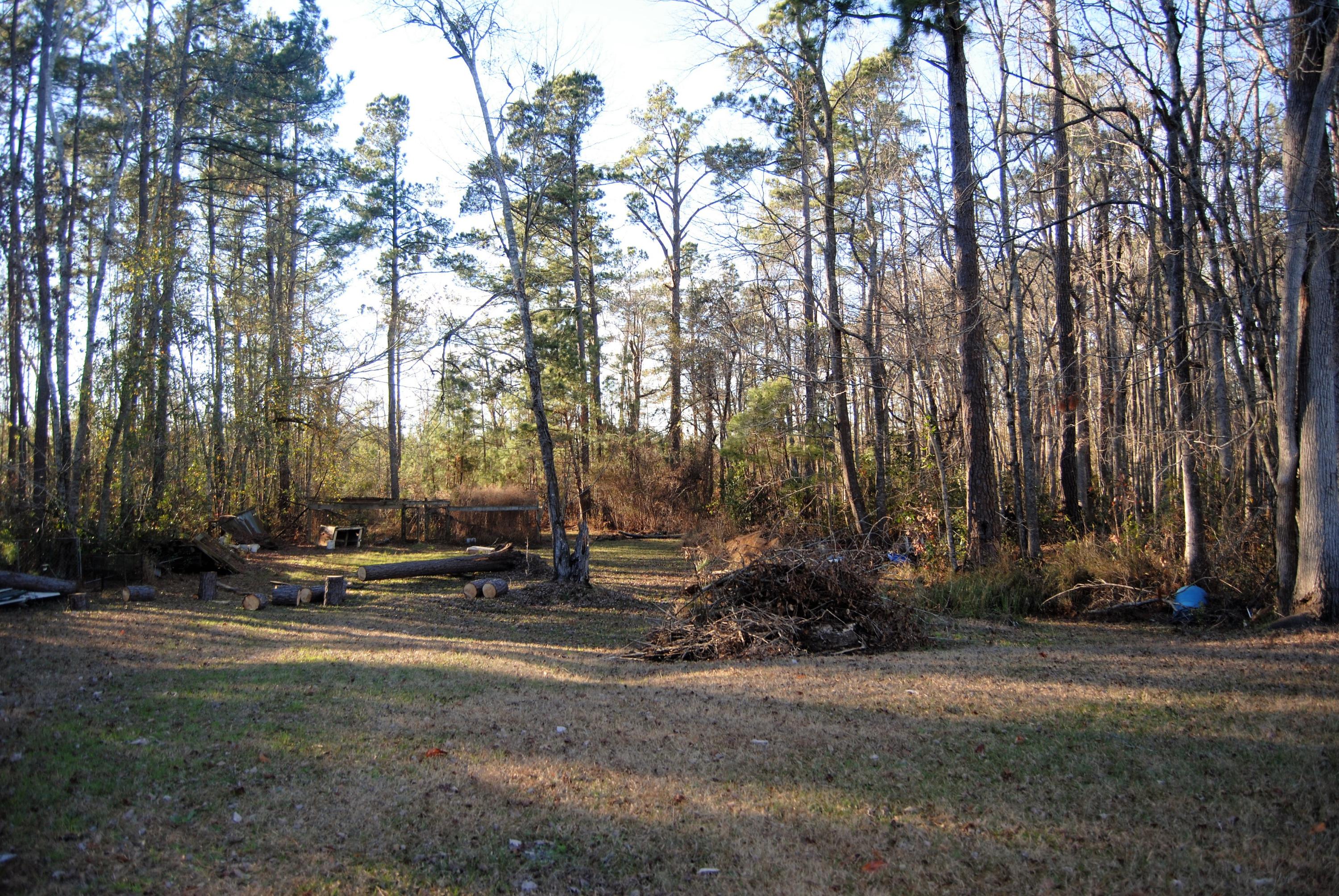 887 Groomstown Road Cross, SC 29436 - Photo 3 of 4 MLS1