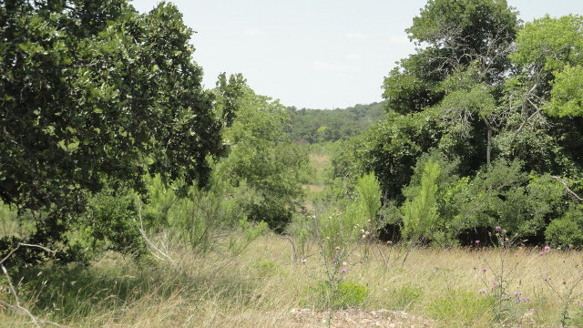 0 Spring Road, Unit 34 Fredericksburg, TX 78624 - Photo 1 of 1 Main View