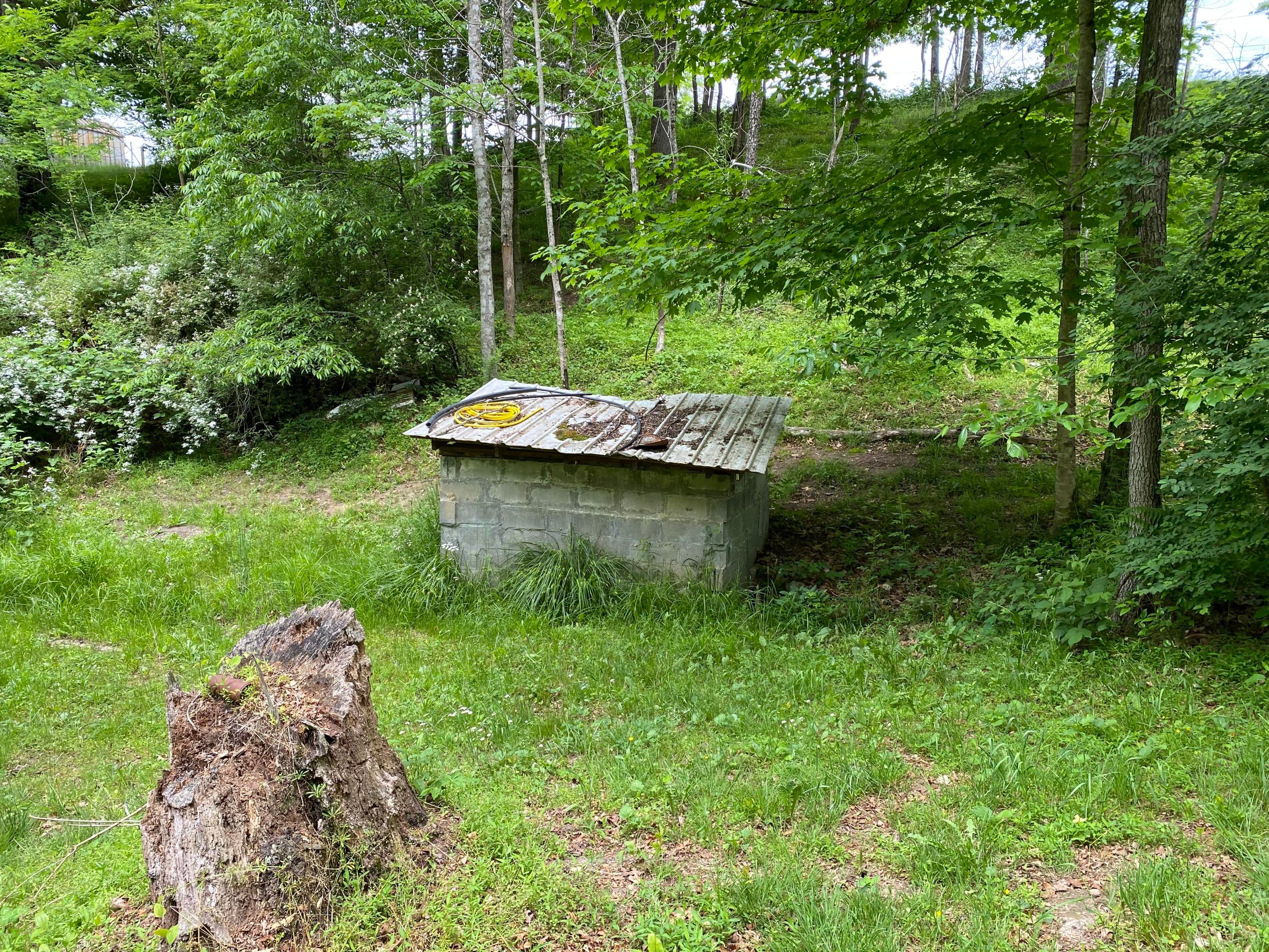 542 Slab Camp Road Renick, WV 24966 - Photo 59 of 65 Gallery Image 59