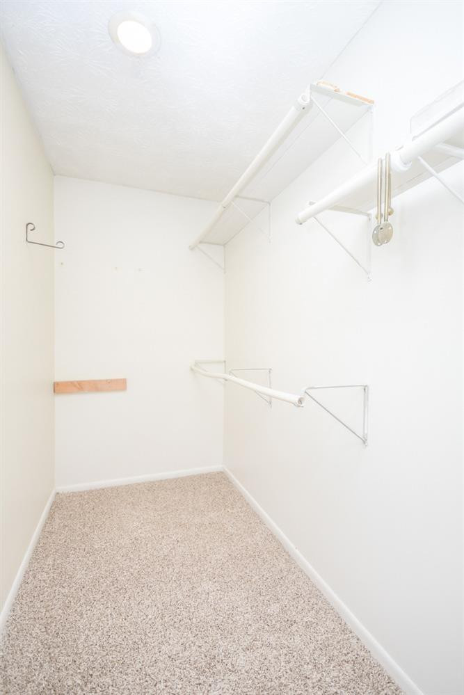 193 Woodlark Road Versailles, KY 40383 - Photo 12 of 27 Photo 12
