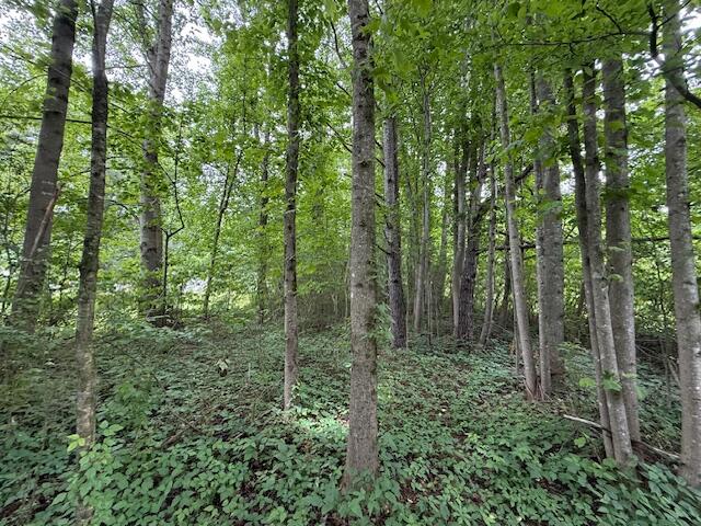 0 Northeast Keith Valley Road Cohutta, GA 30710 - Photo 14 of 15 IMG_6446